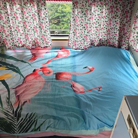 Balistyle Guesthouse Incl Hottub Near Amsterdam And Haarlem 费尔森-需德 外观 照片