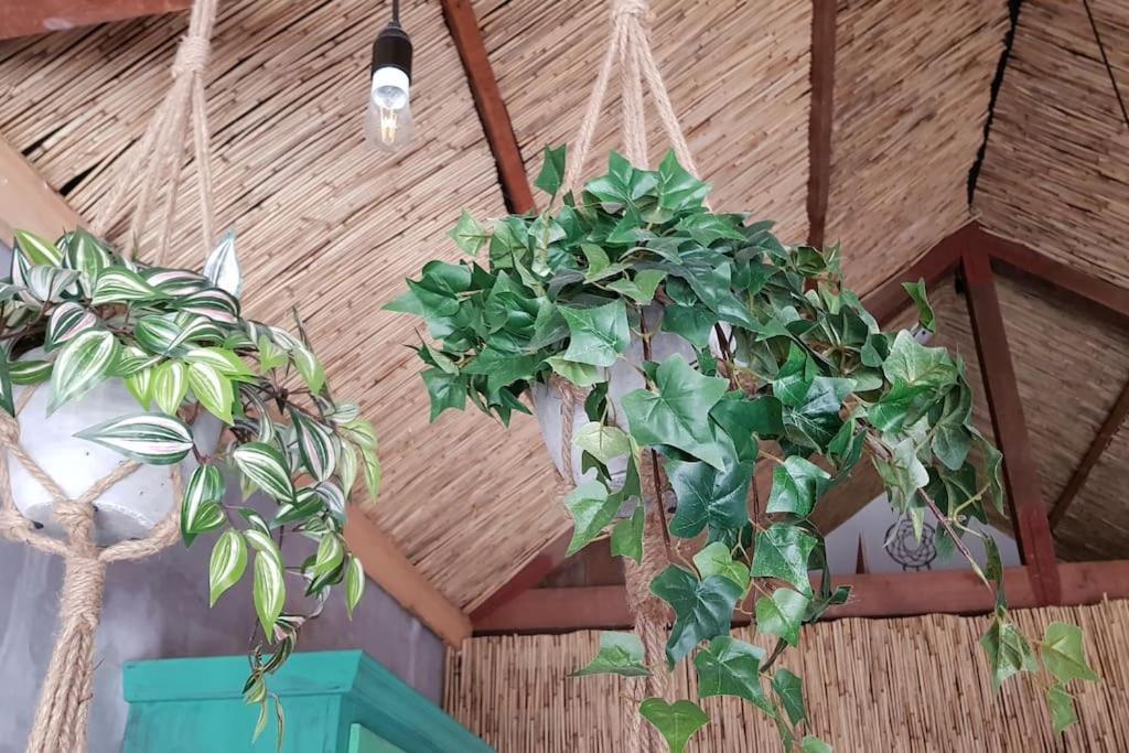 Balistyle Guesthouse Incl Hottub Near Amsterdam And Haarlem 费尔森-需德 外观 照片